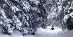 Vail Powder Skiing